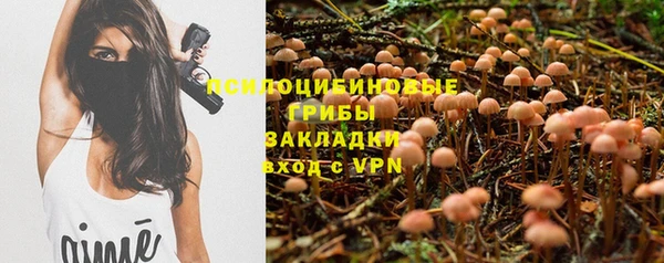 спиды Алексеевка