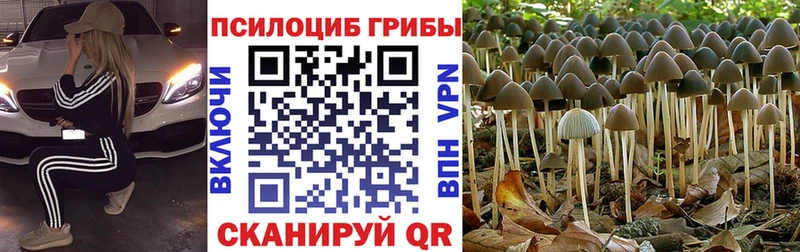 мориарти официальный сайт Цивильск Псилоцибиновые грибы мухоморы